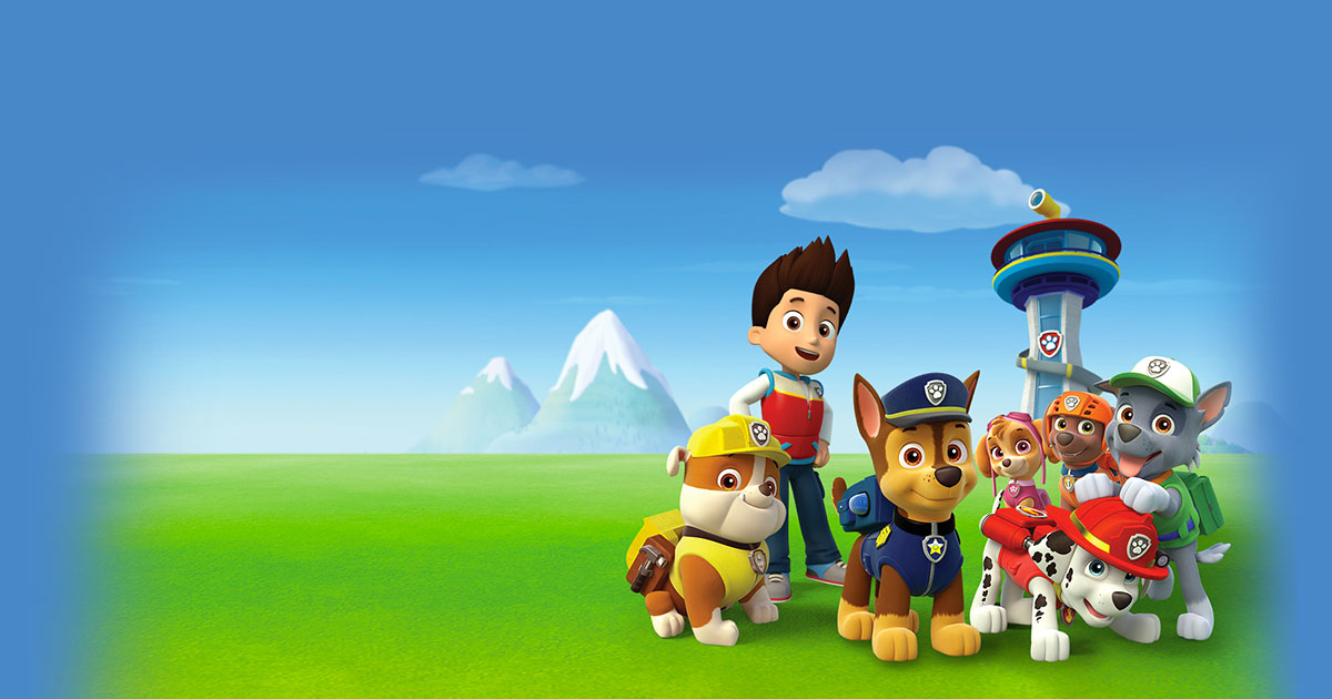 Paw Patrol Birthday Party for Miles in Westfield, New Jersey