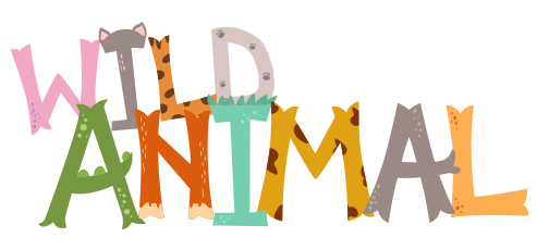 Wild Animals Birthday Party